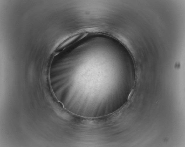 X0000092020297200709201557