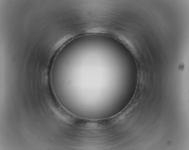 X0000092020298200709201557