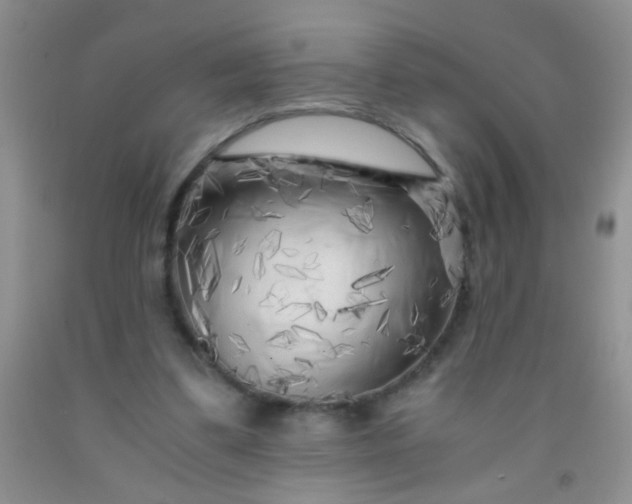 X0000092020299200709201557