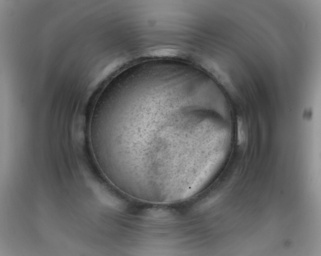 X0000092020300200709201557