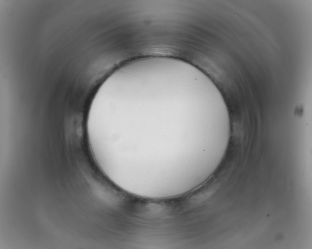 X0000092020302200709201557