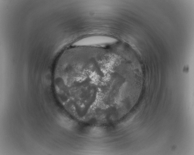 X0000092020303200709201557