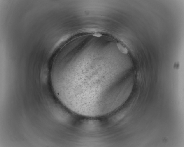 X0000092020304200709201557