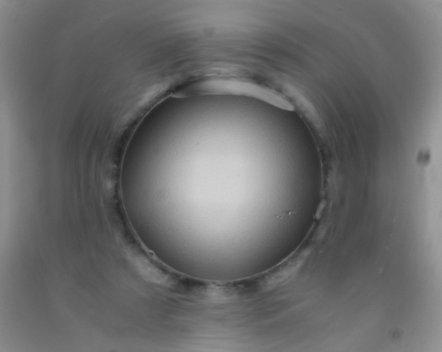 X0000092020305200709201557