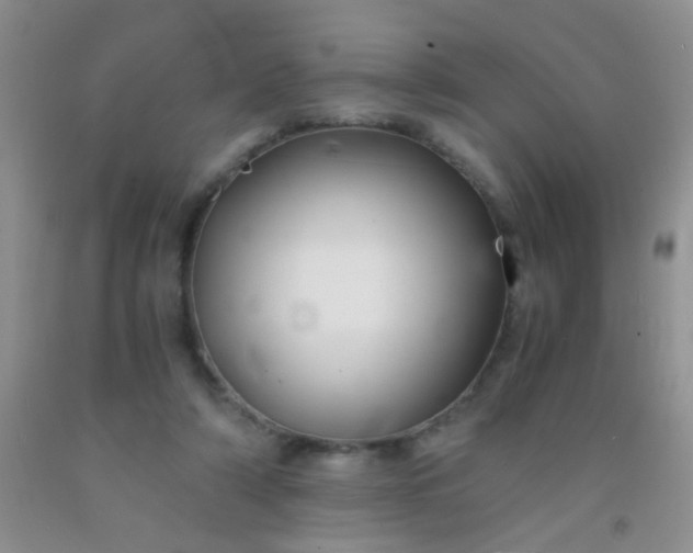 X0000092020306200709201557