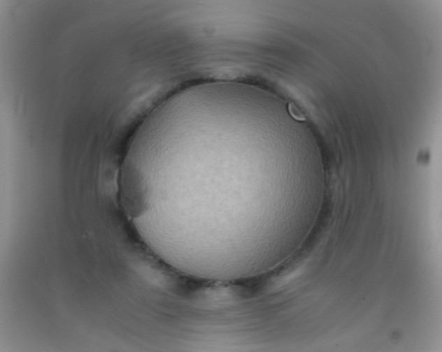 X0000092020307200709201557