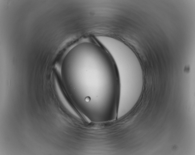 X0000092020308200709201557