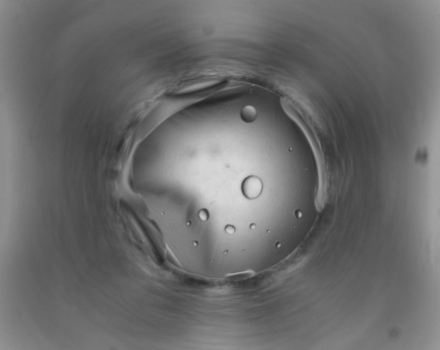 X0000092020309200709201557