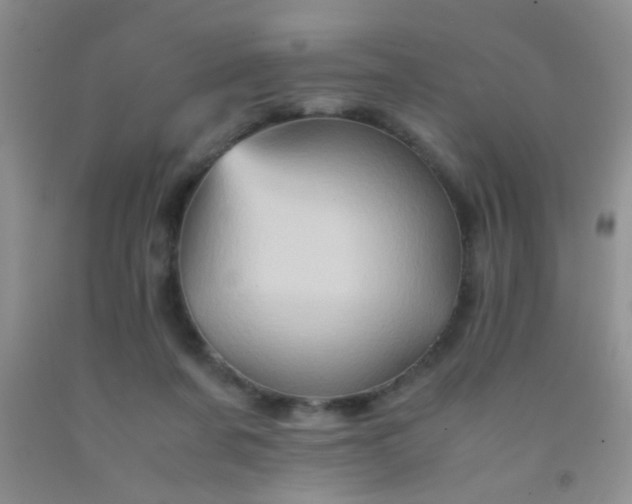 X0000092020311200709201557