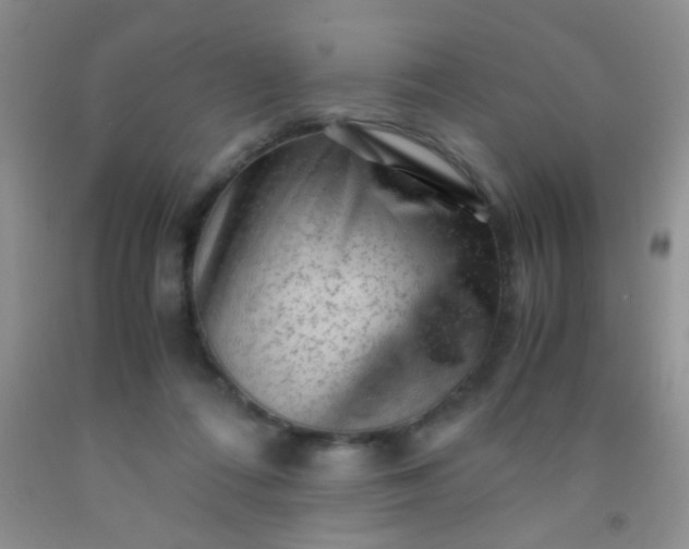 X0000092020312200709201557