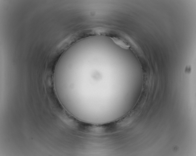 X0000092020313200709201557