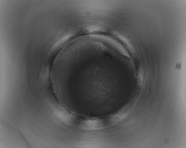 X0000092020314200709201557