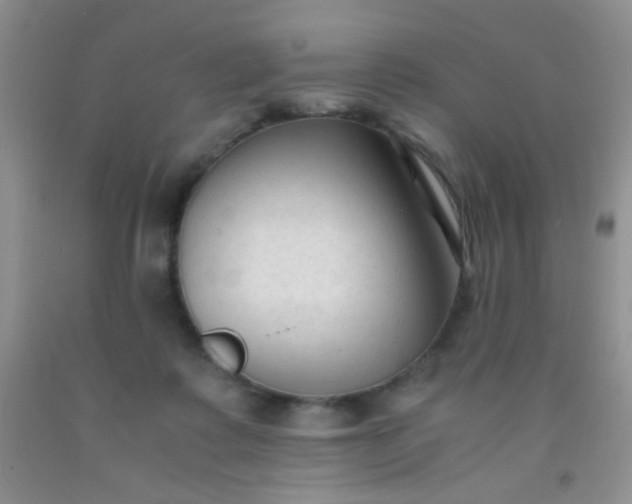 X0000092020315200709201557