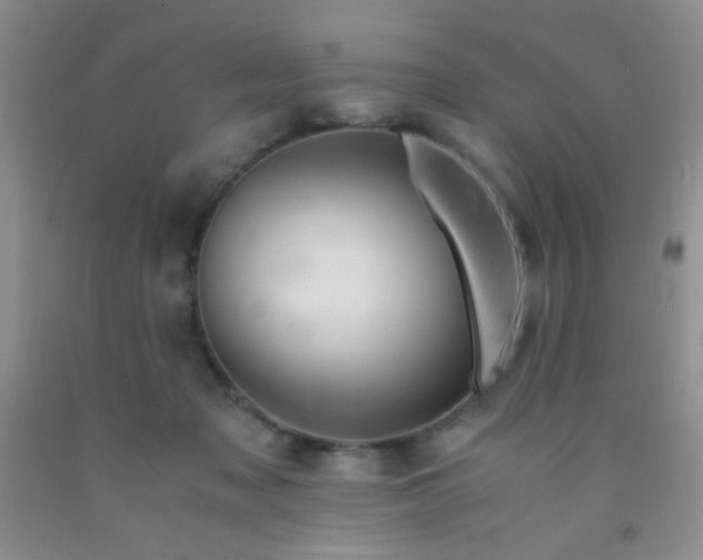 X0000092020317200709201557