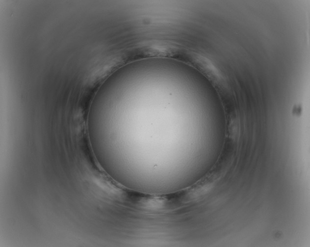 X0000092020318200709201557