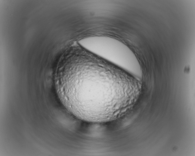 X0000092020319200709201557