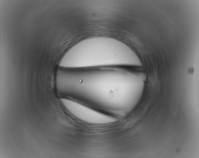 X0000092020320200709201557