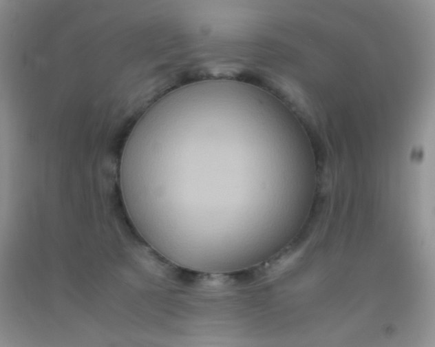 X0000092020321200709201557