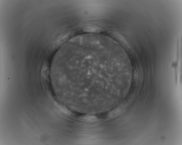 X0000092020322200709201557