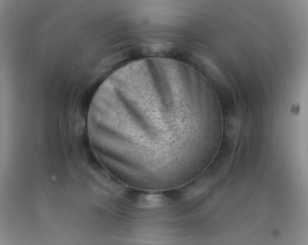 X0000092020324200709201557