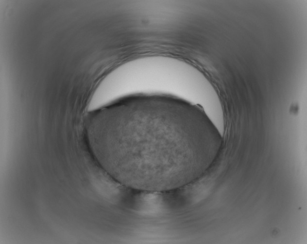 X0000092020325200709201557