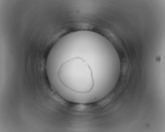 X0000092020326200709201557