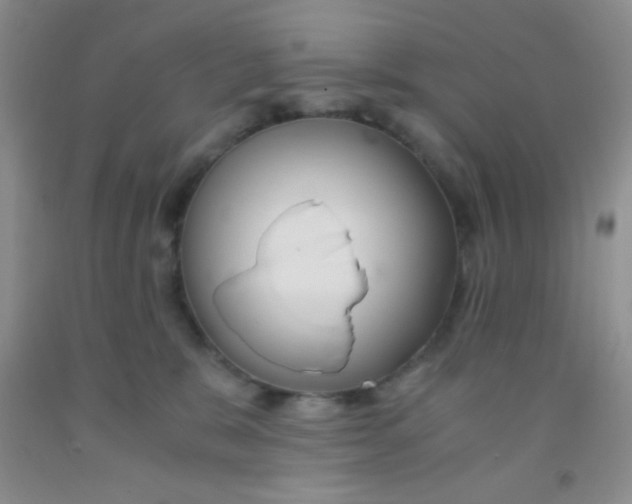 X0000092020327200709201556