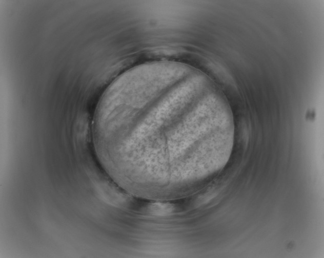 X0000092020328200709201556