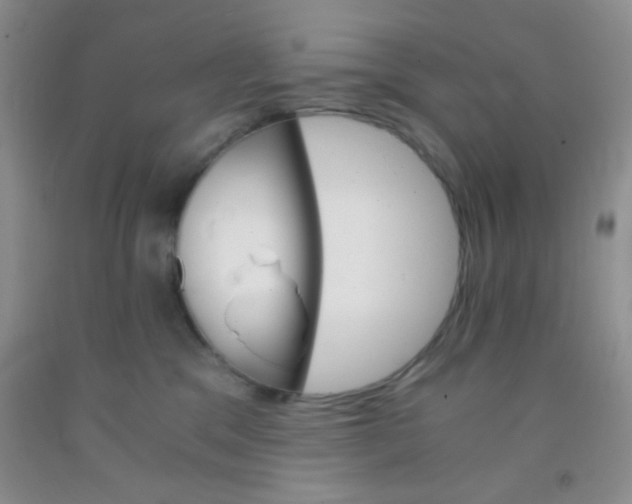 X0000092020329200709201556