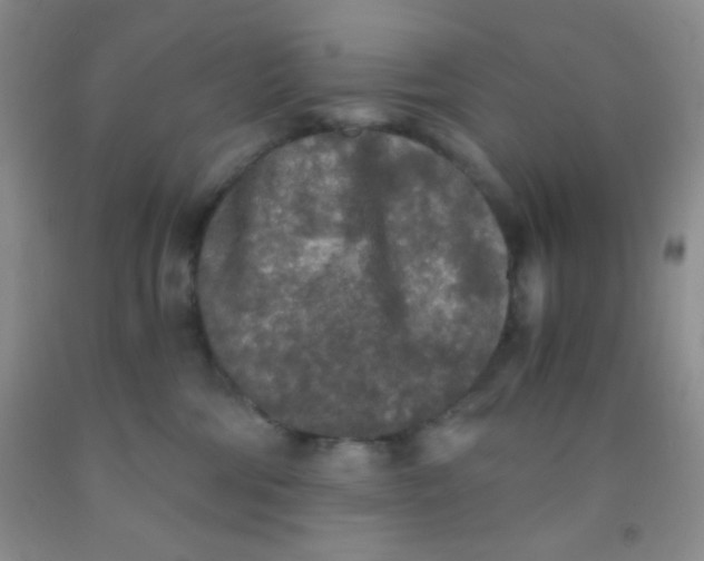 X0000092020330200709201556