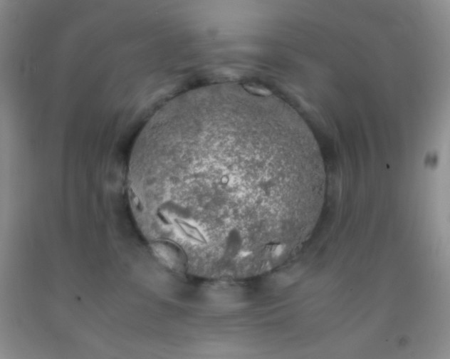 X0000092020331200709201556