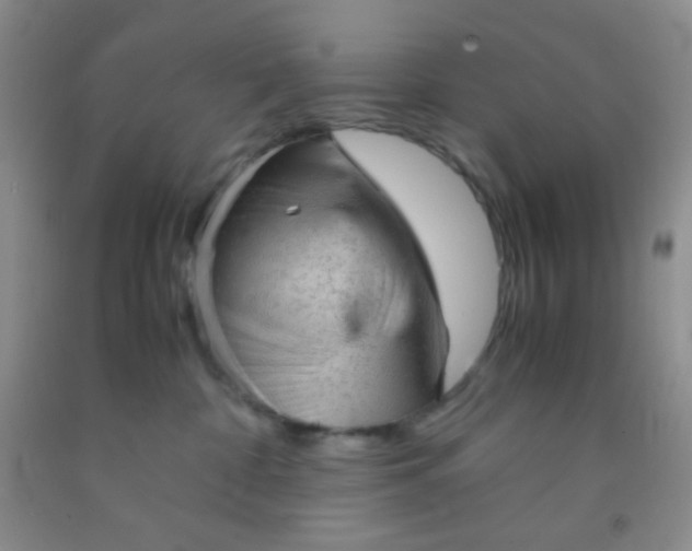 X0000092020332200709201556