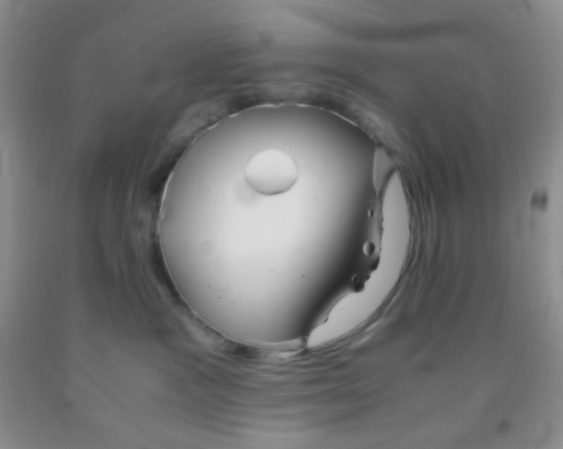 X0000092020333200709201556