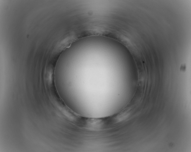 X0000092020334200709201556