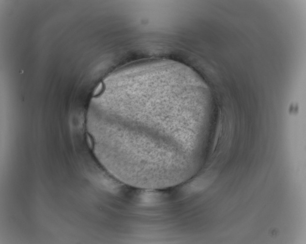 X0000092020336200709201556