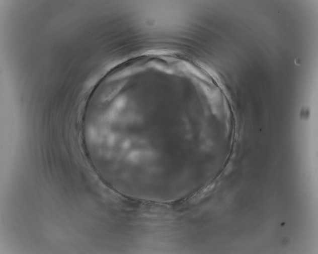 X0000092020337200709201556