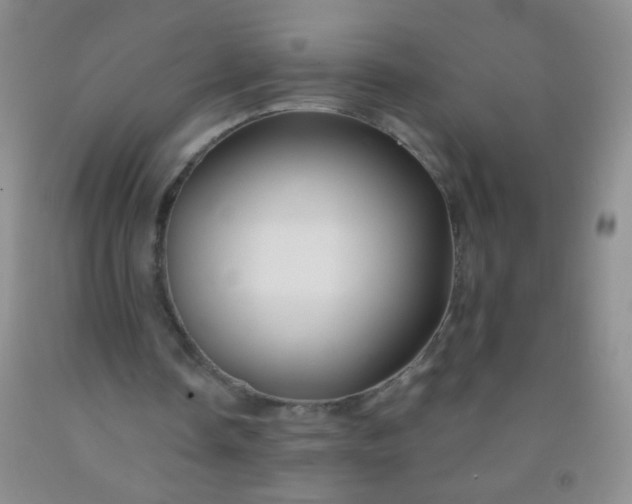 X0000092020338200709201556