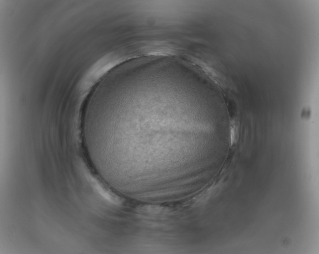 X0000092020339200709201556