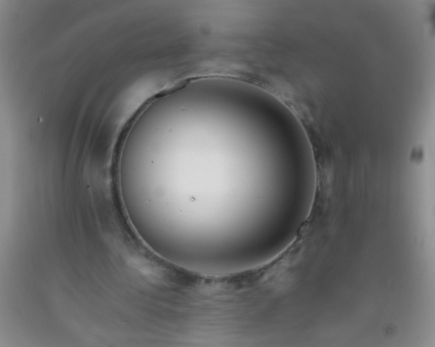 X0000092020340200709201556