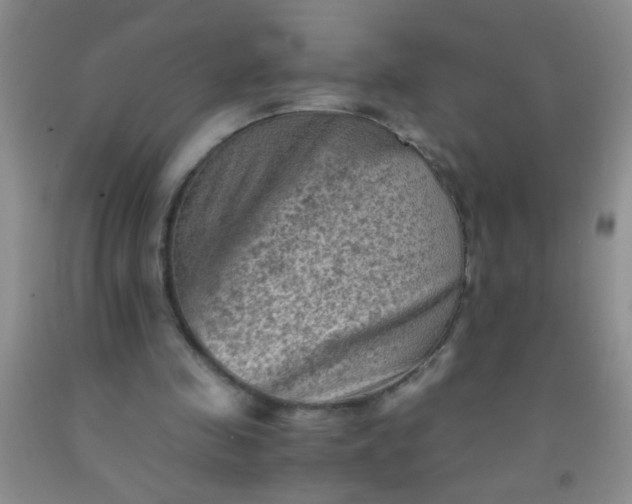 X0000092020341200709201556