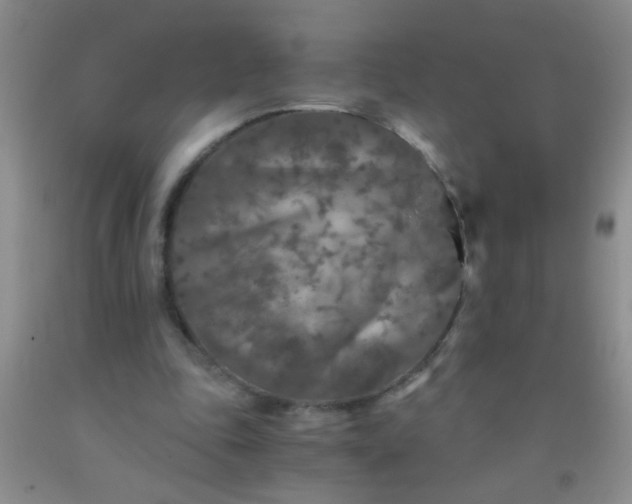 X0000092020343200709201556