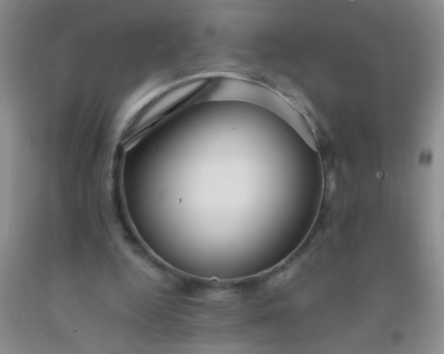 X0000092020344200709201556