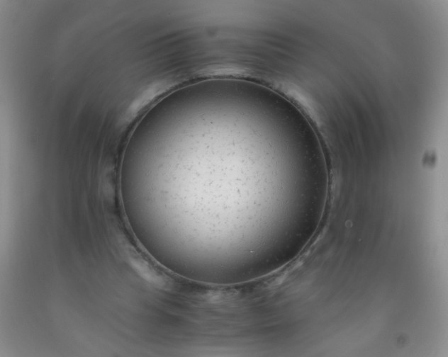 X0000092020345200709201556