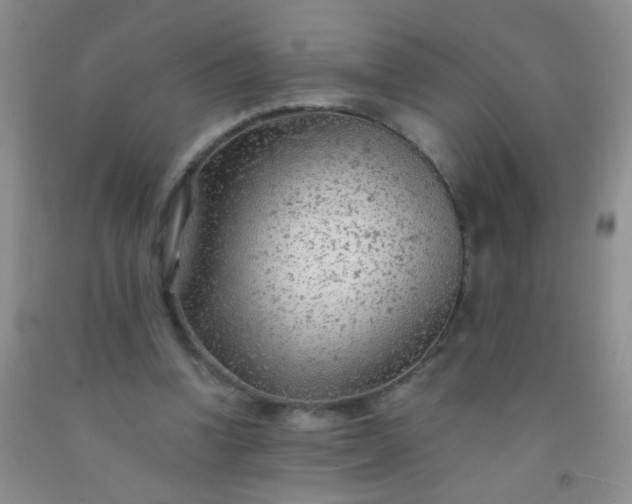 X0000092020346200709201556