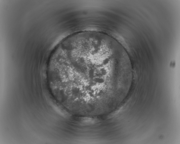 X0000092020347200709201556