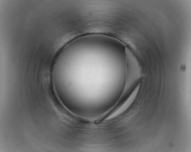 X0000092020348200709201556