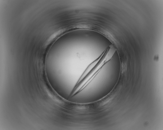 X0000092020349200709201556