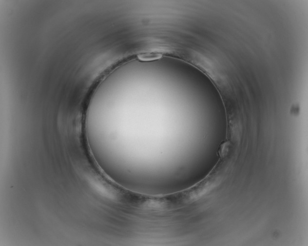 X0000092020350200709201556