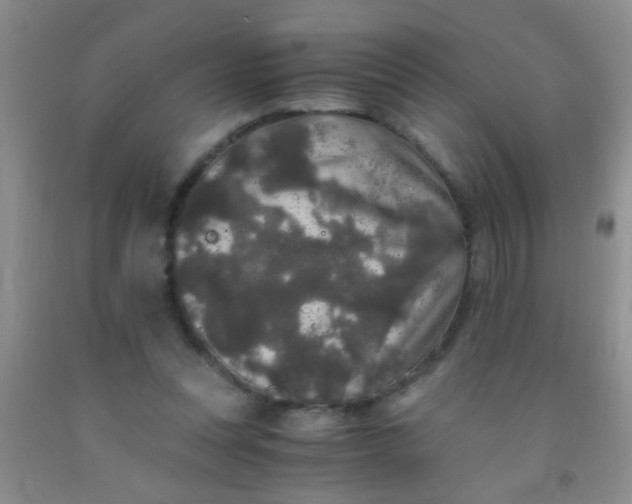 X0000092020351200709201556