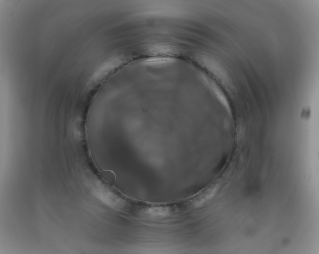 X0000092020353200709201556